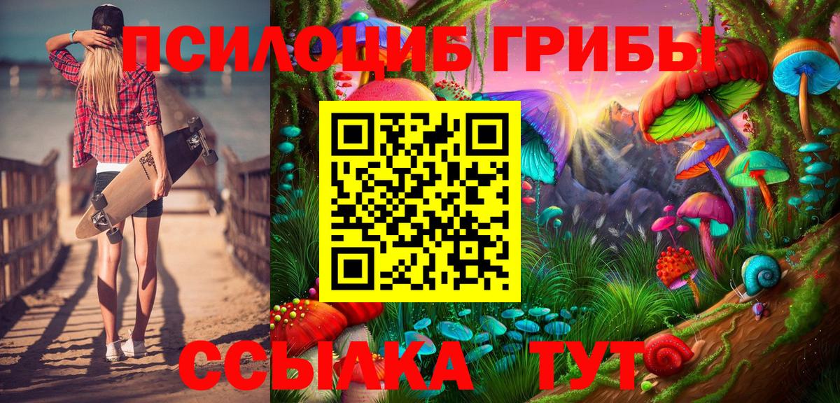 Псилоцибиновые грибы Cubensis  Вход с VPN  Псилоцибиновые грибы MAGIC MUSHROOMS  Краснокаменск 