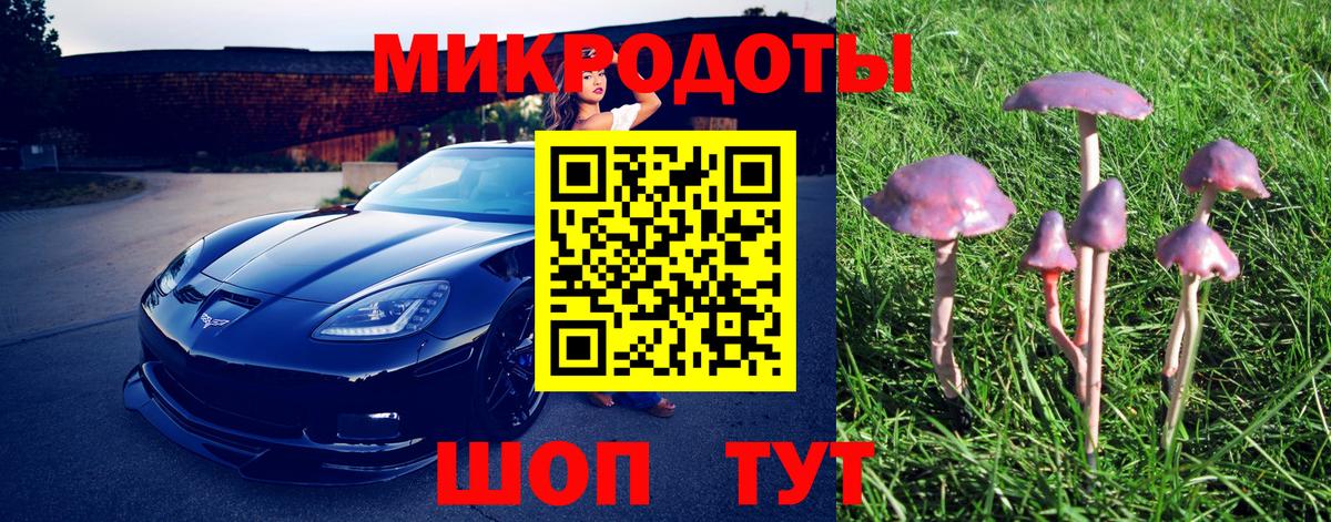 Галлюциногенные грибы Psilocybine cubensis Краснокаменск